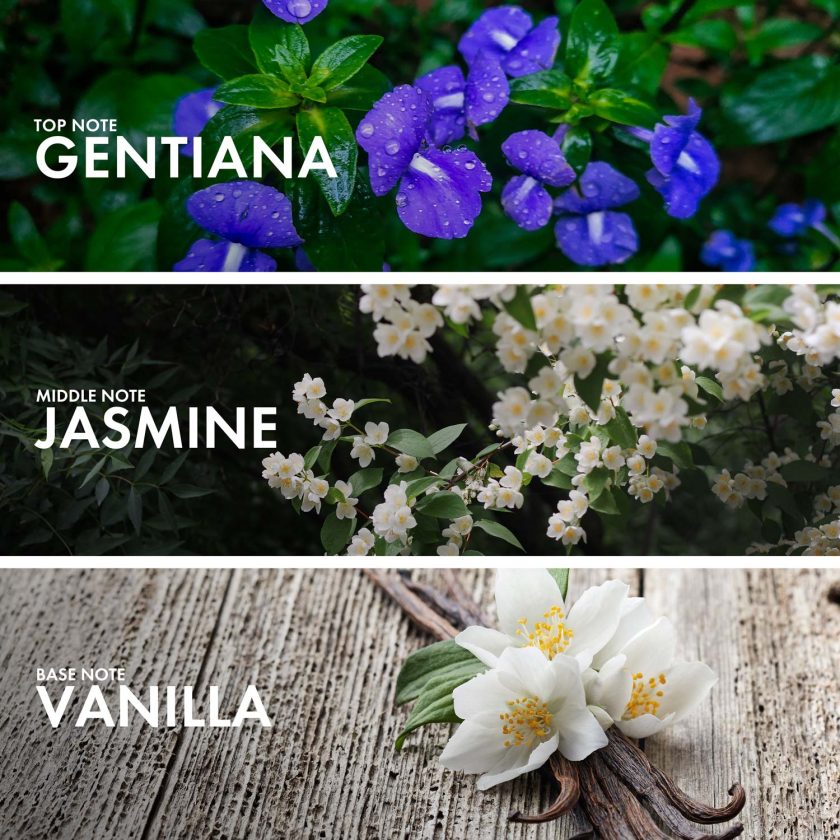 Jasmine Vanilla - Image 4