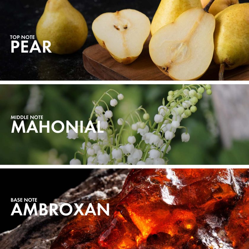 Mahonial Pear - Image 4