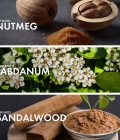 ⁦وودي نتميغ⁩ - الصورة ⁦4⁩